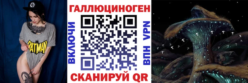 MEGA как войти  Орёл  Галлюциногенные грибы мицелий 